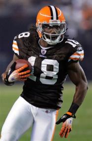 Donte Stallworth